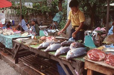 Mekong Mekong
