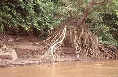 Mekong