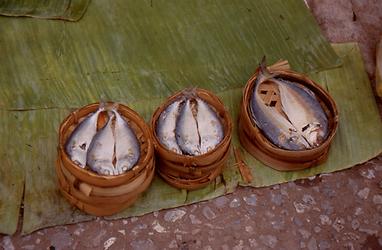 Mekong