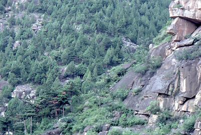 Tai Shan Tai Shan