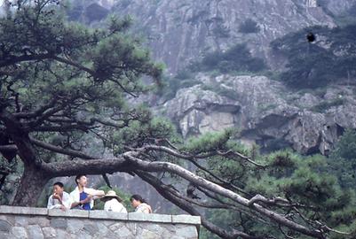 Tai Shan Tai Shan