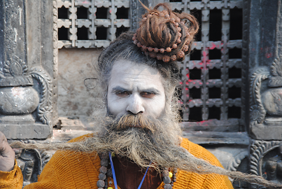Sadhu Sadhu