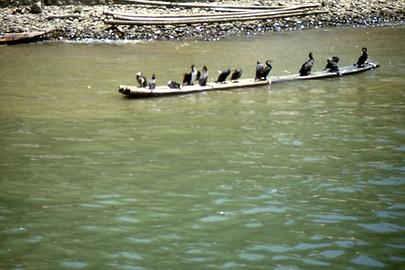 Li Jiang-Fluss Li Jiang-Fluss