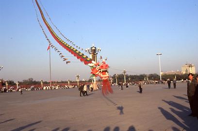 Flugdrache Flugdrache
