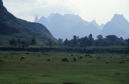 Li Jiang-Fluss Li Jiang-Fluss