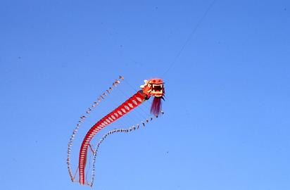 Flugdrache Flugdrache