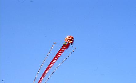 Flugdrache Flugdrache