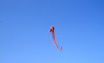 Flugdrache Flugdrache