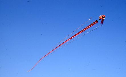 Flugdrache Flugdrache