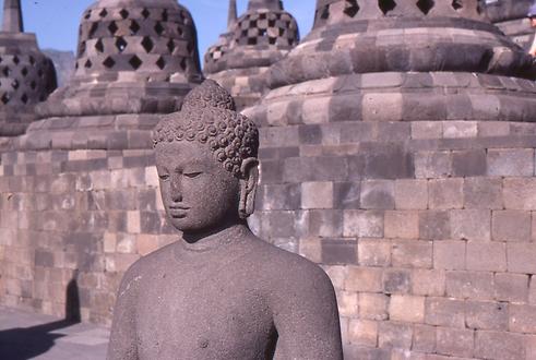 Buddha Buddha