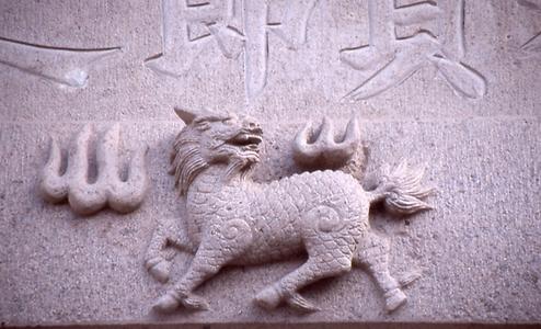 Dongyang Dongyang