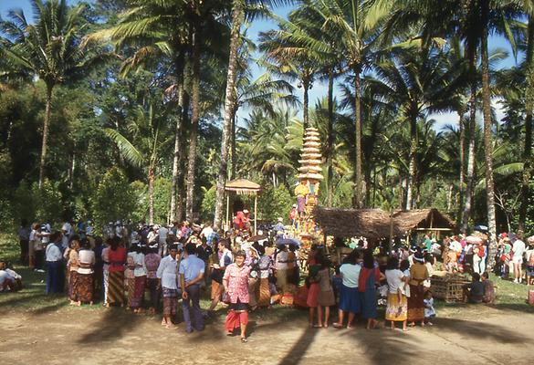 Bali Bali